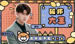 爆料大王媳妇视频播放全集,一场家庭风波的真相大曝光