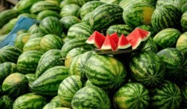 孙禾颐网红吃瓜在线观看,揭秘娱乐圈幕后故事